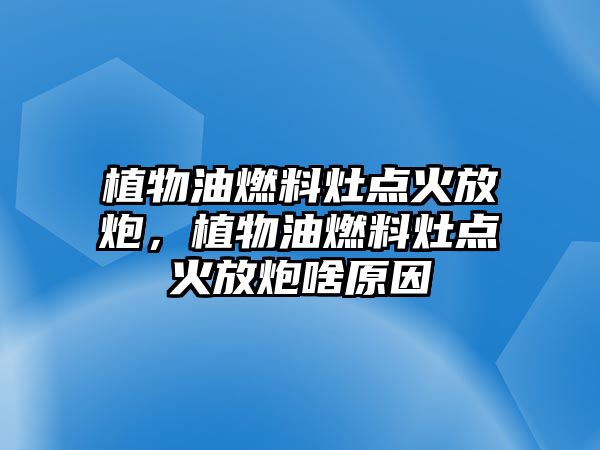 植物油燃料灶點火放炮，植物油燃料灶點火放炮啥原因