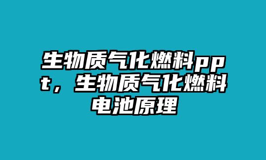 生物質(zhì)氣化燃料ppt，生物質(zhì)氣化燃料電池原理