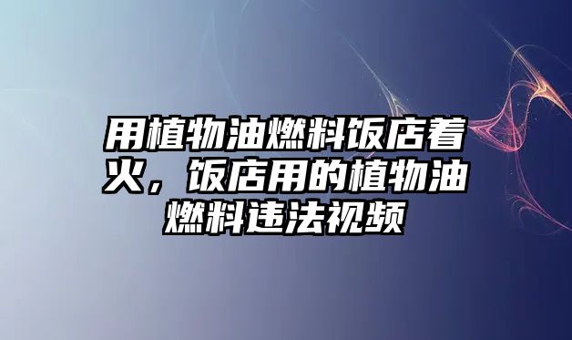 用植物油燃料飯店著火，飯店用的植物油燃料違法視頻