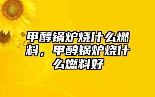 甲醇鍋爐燒什么燃料，甲醇鍋爐燒什么燃料好