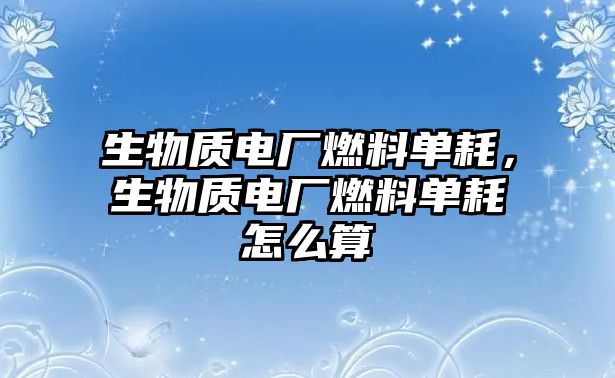 生物質(zhì)電廠燃料單耗，生物質(zhì)電廠燃料單耗怎么算