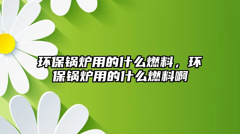 環(huán)保鍋爐用的什么燃料，環(huán)保鍋爐用的什么燃料啊