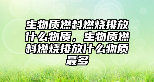 生物質(zhì)燃料燃燒排放什么物質(zhì)，生物質(zhì)燃料燃燒排放什么物質(zhì)最多