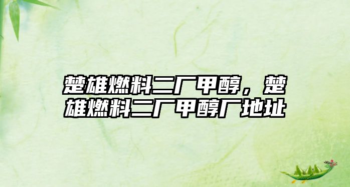 楚雄燃料二廠甲醇，楚雄燃料二廠甲醇廠地址