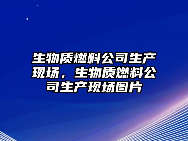 生物質(zhì)燃料公司生產(chǎn)現(xiàn)場，生物質(zhì)燃料公司生產(chǎn)現(xiàn)場圖片