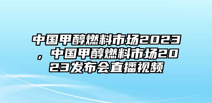 中國甲醇燃料市場2023，中國甲醇燃料市場2023發(fā)布會直播視頻