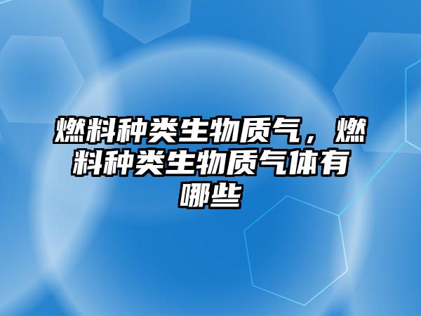 燃料種類生物質氣，燃料種類生物質氣體有哪些