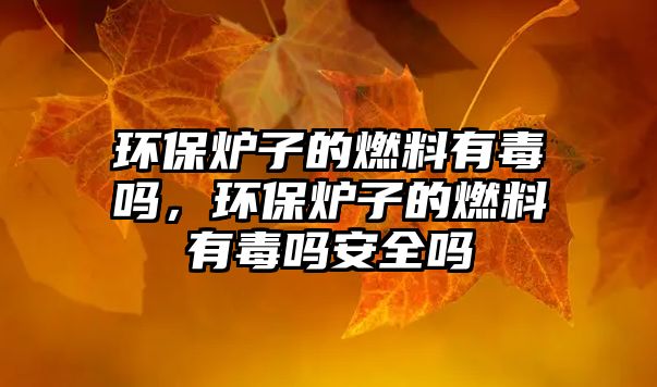 環(huán)保爐子的燃料有毒嗎，環(huán)保爐子的燃料有毒嗎安全嗎