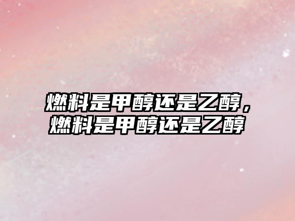 燃料是甲醇還是乙醇，燃料是甲醇還是乙醇