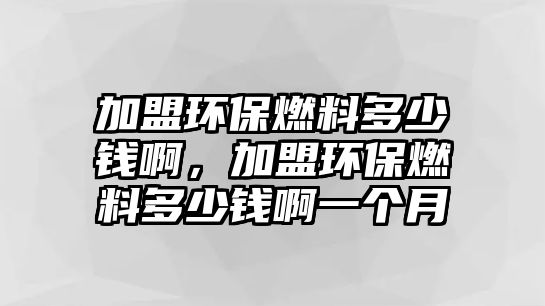 加盟環(huán)保燃料多少錢啊，加盟環(huán)保燃料多少錢啊一個月