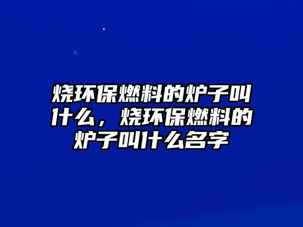 燒環(huán)保燃料的爐子叫什么，燒環(huán)保燃料的爐子叫什么名字