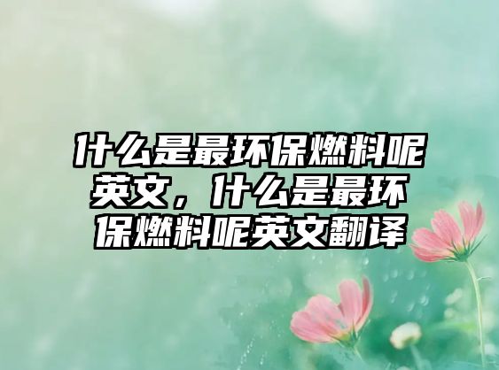 什么是最環(huán)保燃料呢英文，什么是最環(huán)保燃料呢英文翻譯