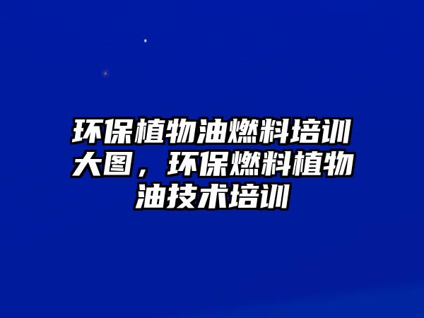 環(huán)保植物油燃料培訓(xùn)大圖，環(huán)保燃料植物油技術(shù)培訓(xùn)