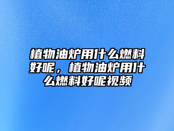 植物油爐用什么燃料好呢，植物油爐用什么燃料好呢視頻