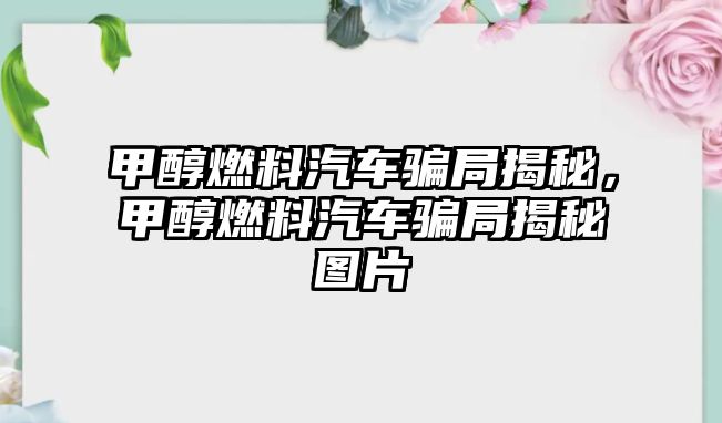 甲醇燃料汽車騙局揭秘，甲醇燃料汽車騙局揭秘圖片