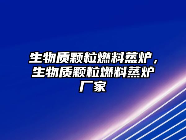 生物質(zhì)顆粒燃料蒸爐，生物質(zhì)顆粒燃料蒸爐廠家