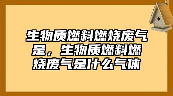 生物質(zhì)燃料燃燒廢氣是，生物質(zhì)燃料燃燒廢氣是什么氣體