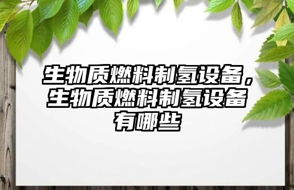 生物質燃料制氫設備，生物質燃料制氫設備有哪些