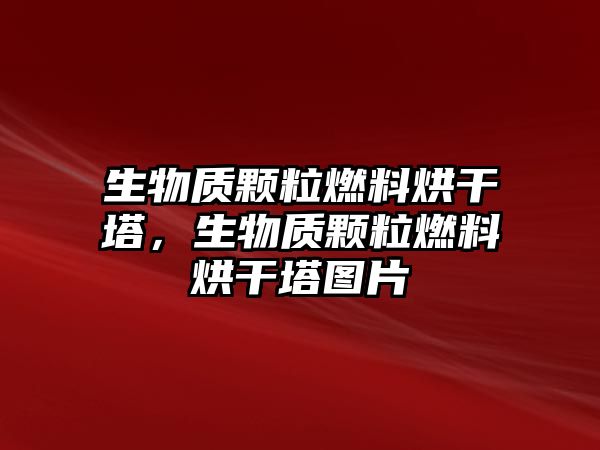 生物質(zhì)顆粒燃料烘干塔，生物質(zhì)顆粒燃料烘干塔圖片