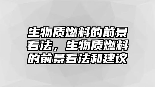 生物質(zhì)燃料的前景看法，生物質(zhì)燃料的前景看法和建議