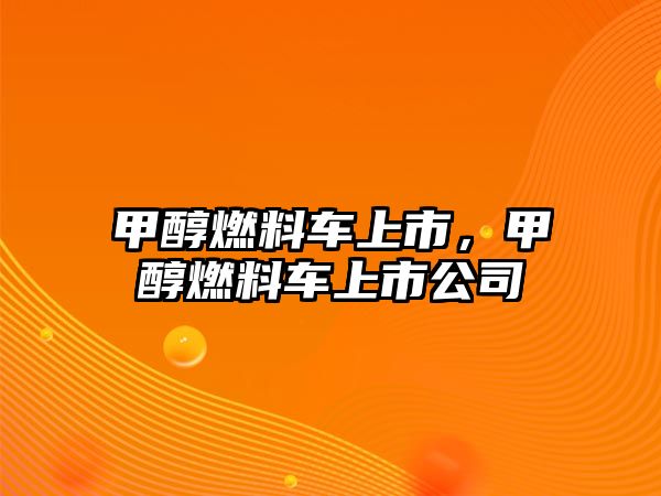 甲醇燃料車上市，甲醇燃料車上市公司