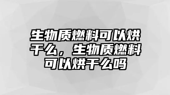 生物質(zhì)燃料可以烘干么，生物質(zhì)燃料可以烘干么嗎