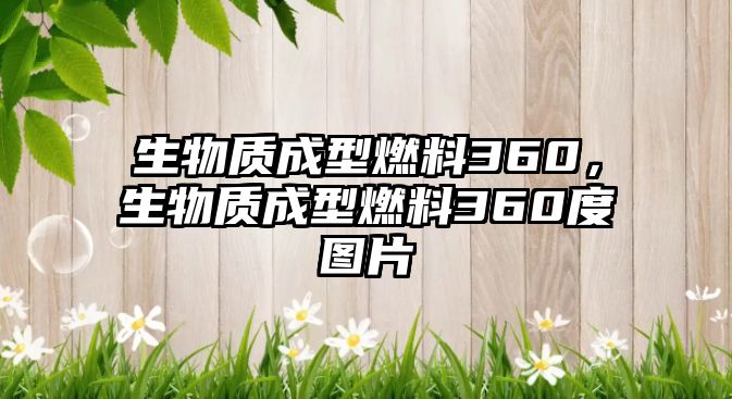 生物質(zhì)成型燃料360，生物質(zhì)成型燃料360度圖片