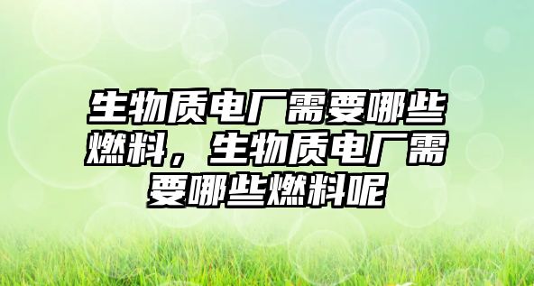 生物質(zhì)電廠需要哪些燃料，生物質(zhì)電廠需要哪些燃料呢