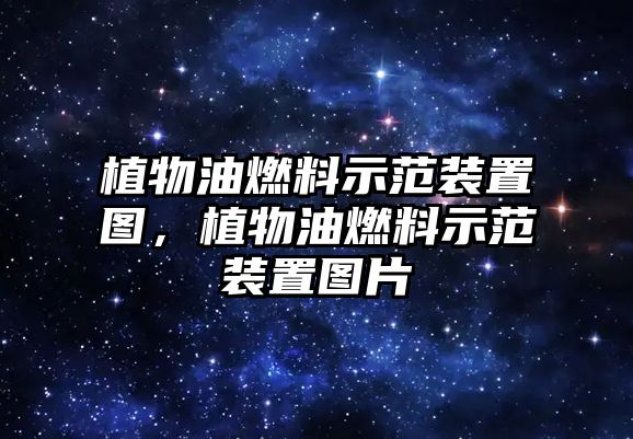 植物油燃料示范裝置圖，植物油燃料示范裝置圖片