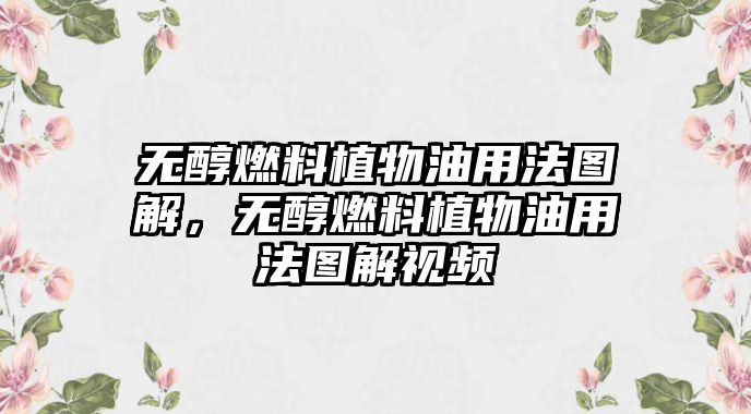 無醇燃料植物油用法圖解，無醇燃料植物油用法圖解視頻