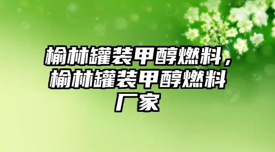 榆林罐裝甲醇燃料，榆林罐裝甲醇燃料廠家