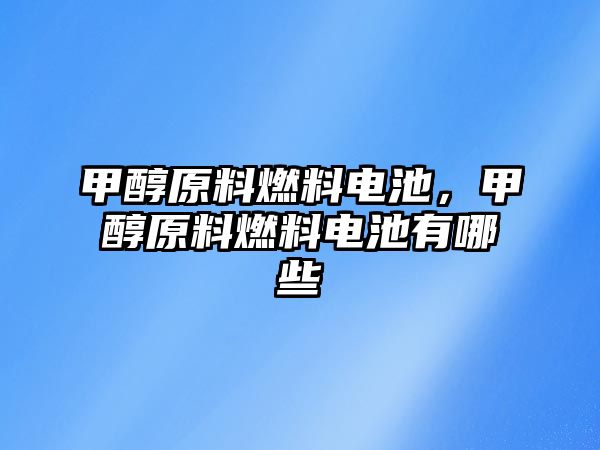 甲醇原料燃料電池，甲醇原料燃料電池有哪些