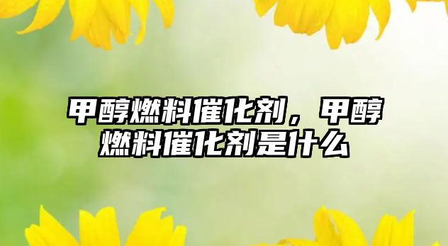 甲醇燃料催化劑，甲醇燃料催化劑是什么