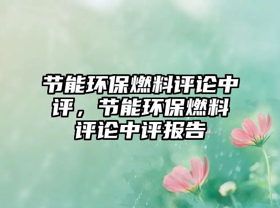 節(jié)能環(huán)保燃料評論中評，節(jié)能環(huán)保燃料評論中評報(bào)告