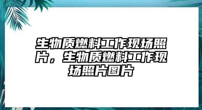 生物質(zhì)燃料工作現(xiàn)場照片，生物質(zhì)燃料工作現(xiàn)場照片圖片