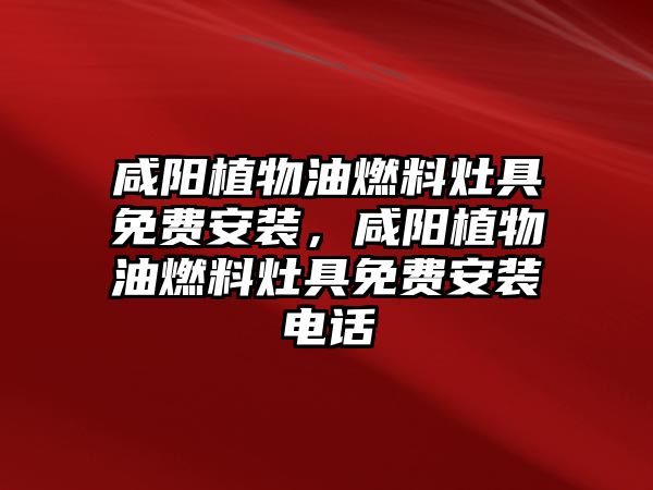 咸陽植物油燃料灶具免費(fèi)安裝，咸陽植物油燃料灶具免費(fèi)安裝電話