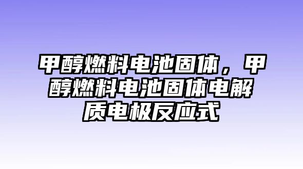 甲醇燃料電池固體，甲醇燃料電池固體電解質(zhì)電極反應(yīng)式