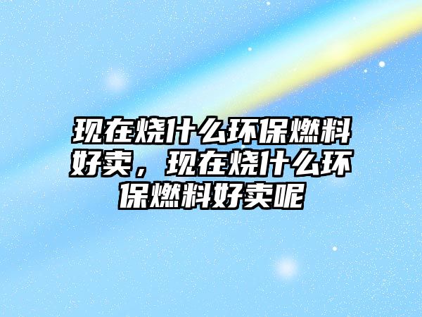 現(xiàn)在燒什么環(huán)保燃料好賣，現(xiàn)在燒什么環(huán)保燃料好賣呢