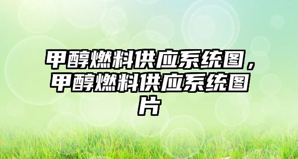 甲醇燃料供應(yīng)系統(tǒng)圖，甲醇燃料供應(yīng)系統(tǒng)圖片