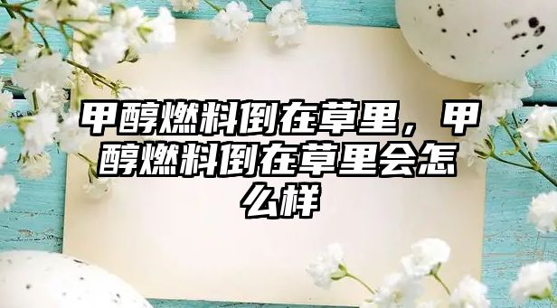 甲醇燃料倒在草里，甲醇燃料倒在草里會(huì)怎么樣