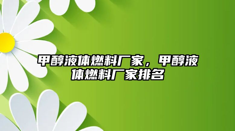 甲醇液體燃料廠家，甲醇液體燃料廠家排名