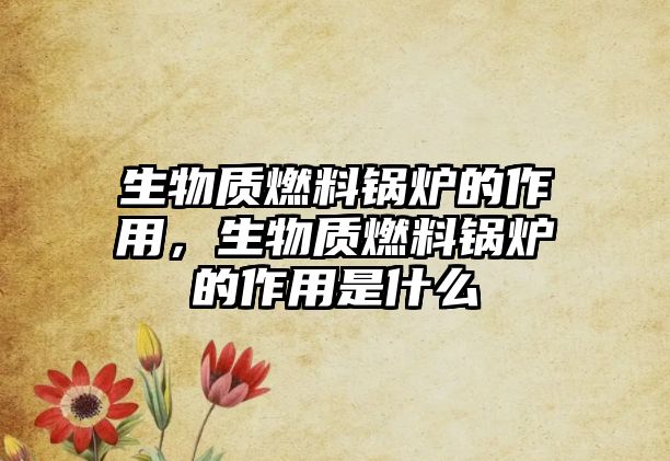 生物質(zhì)燃料鍋爐的作用，生物質(zhì)燃料鍋爐的作用是什么