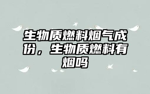 生物質(zhì)燃料煙氣成份，生物質(zhì)燃料有煙嗎