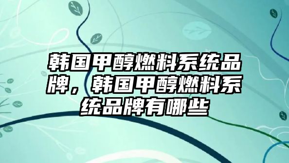 韓國甲醇燃料系統(tǒng)品牌，韓國甲醇燃料系統(tǒng)品牌有哪些