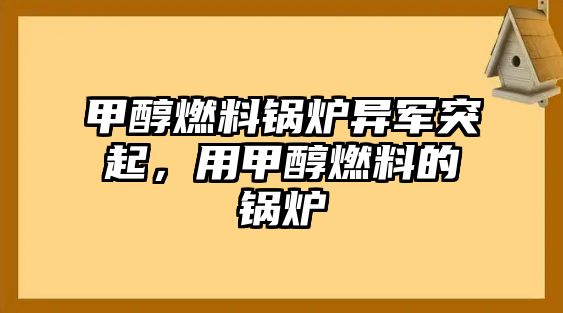 甲醇燃料鍋爐異軍突起，用甲醇燃料的鍋爐