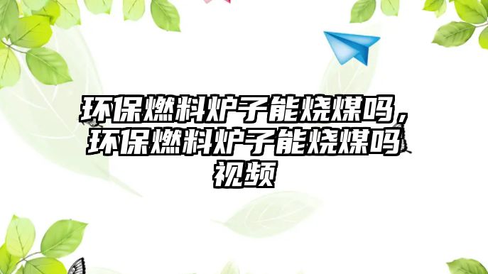 環(huán)保燃料爐子能燒煤嗎，環(huán)保燃料爐子能燒煤嗎視頻