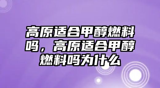 高原適合甲醇燃料嗎，高原適合甲醇燃料嗎為什么