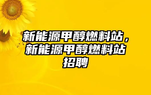 新能源甲醇燃料站，新能源甲醇燃料站招聘