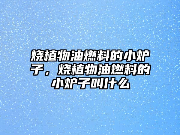 燒植物油燃料的小爐子，燒植物油燃料的小爐子叫什么