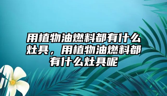 用植物油燃料都有什么灶具，用植物油燃料都有什么灶具呢